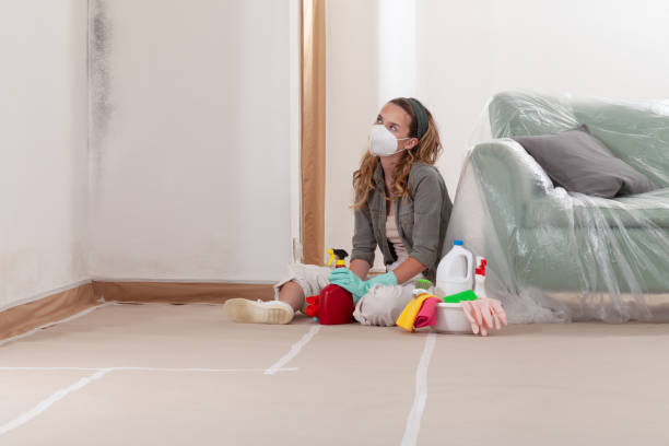 Reliable Mold Inspection contractor in Brooklyn, MD by WQB Mold Removal